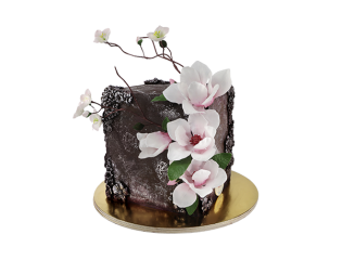 Торт в форме куба с цветами магнолии